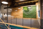 Green Wall Feature